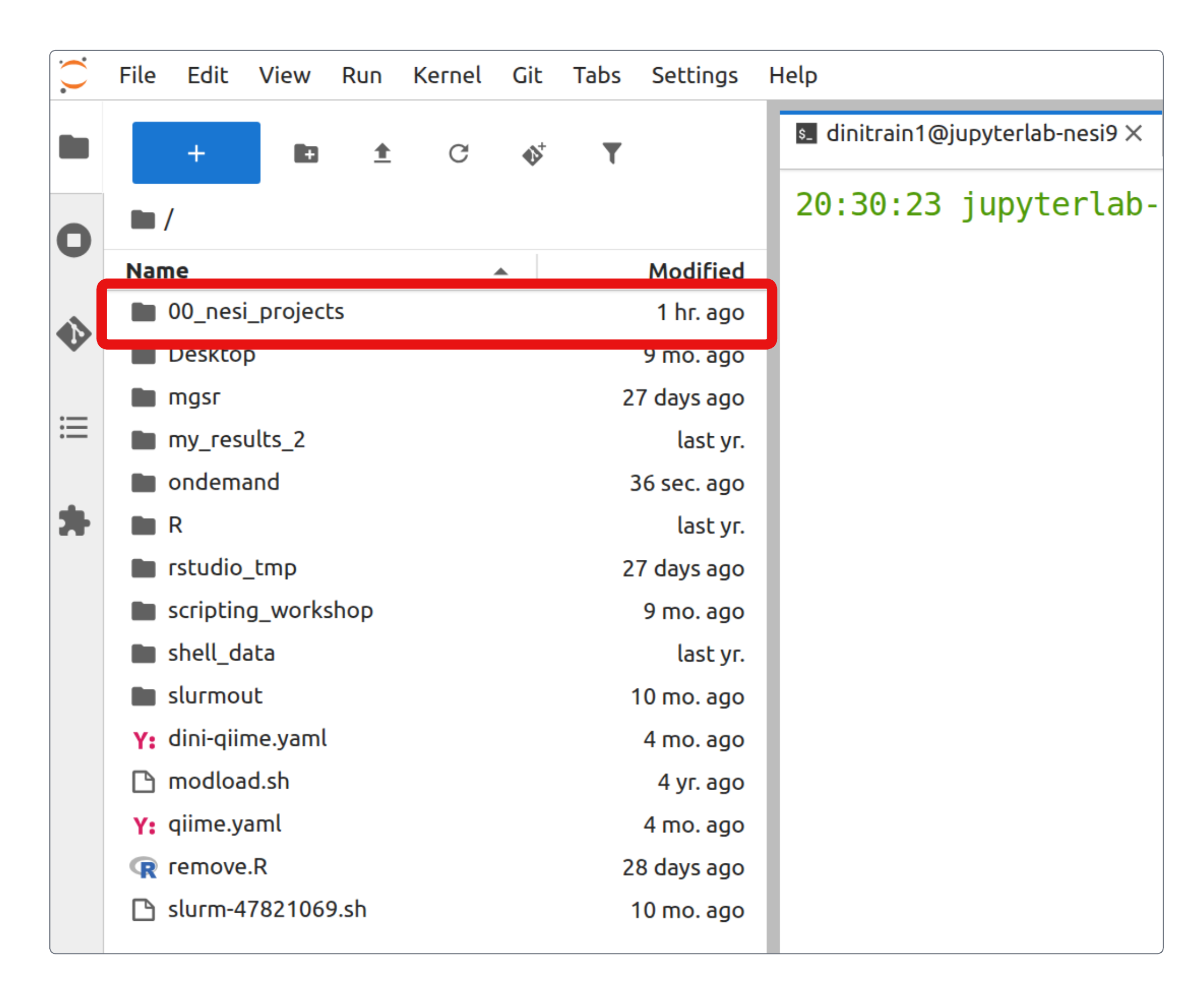 File Explorer Jupyter