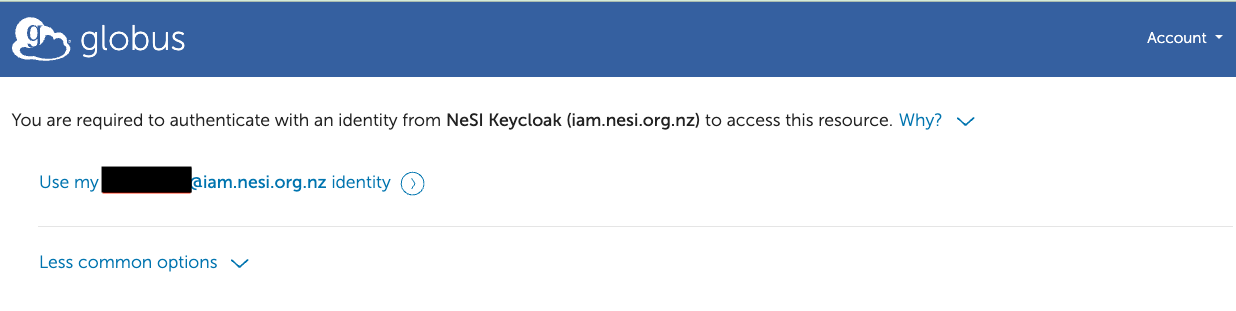 Globus_Transfer_5.png