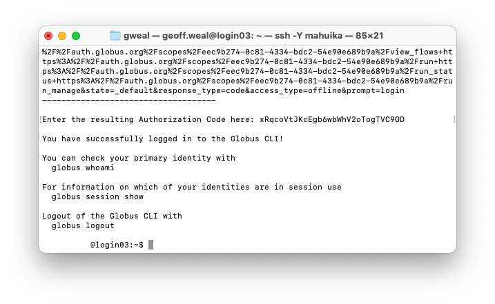 Globus_CLI_6.png