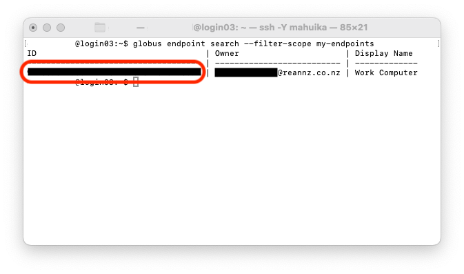 Globus_CLI_7.png
