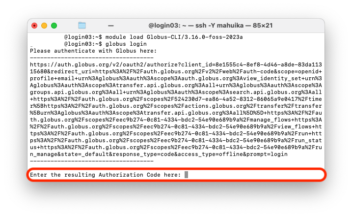 Globus_CLI_5.png
