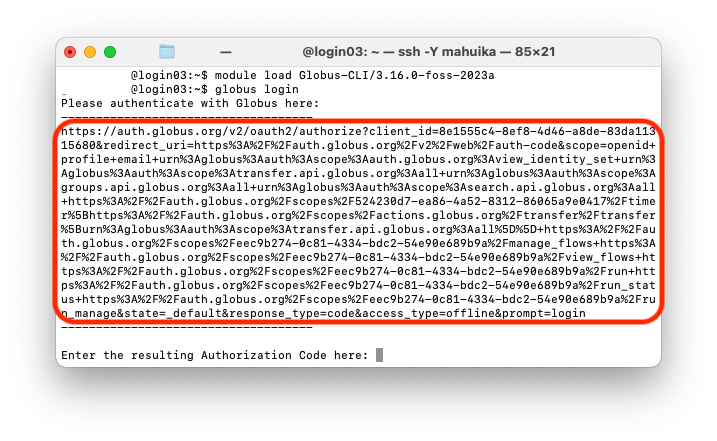 Globus_CLI_1.png